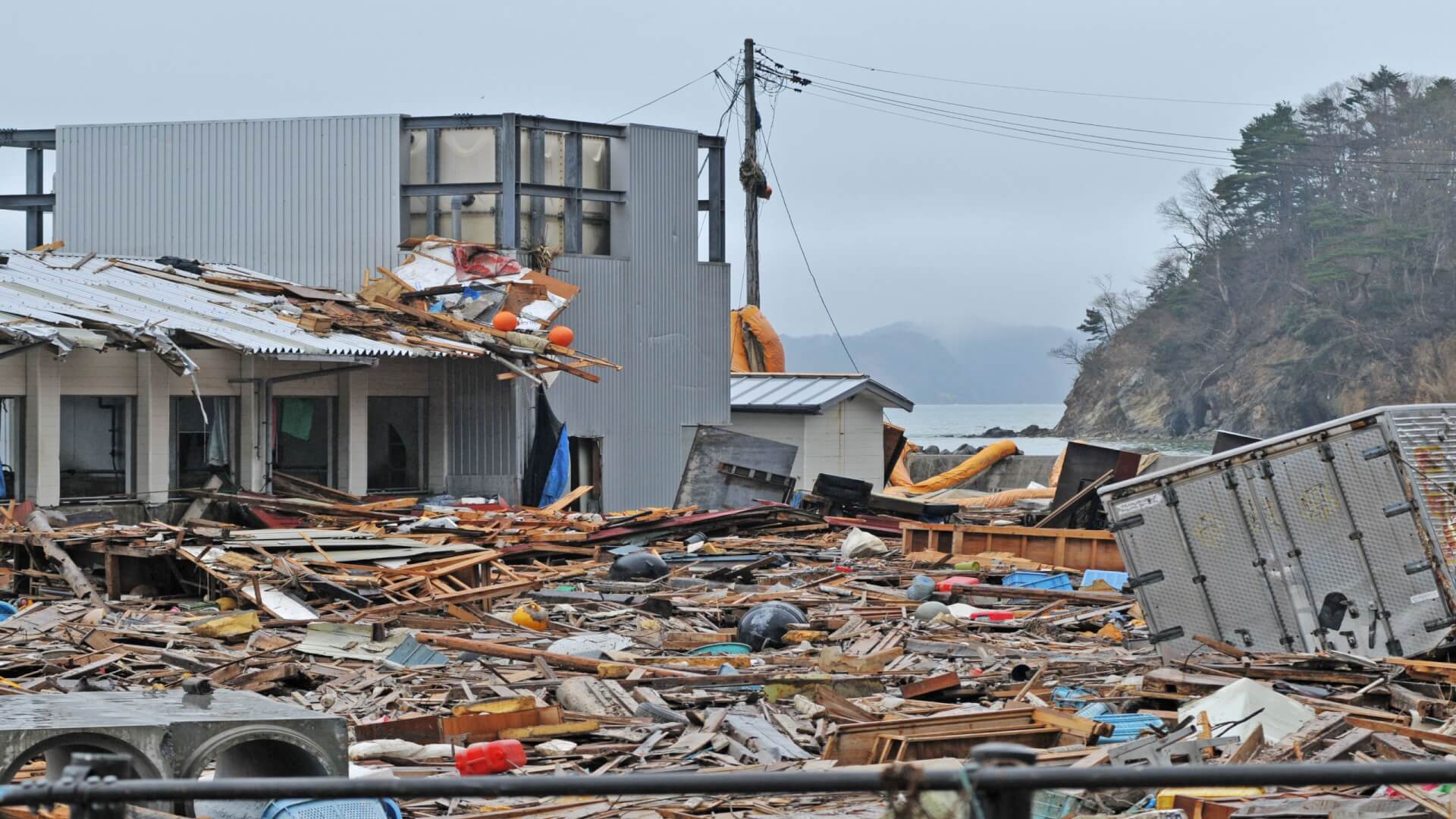 Tohoku earthquake and tsunami