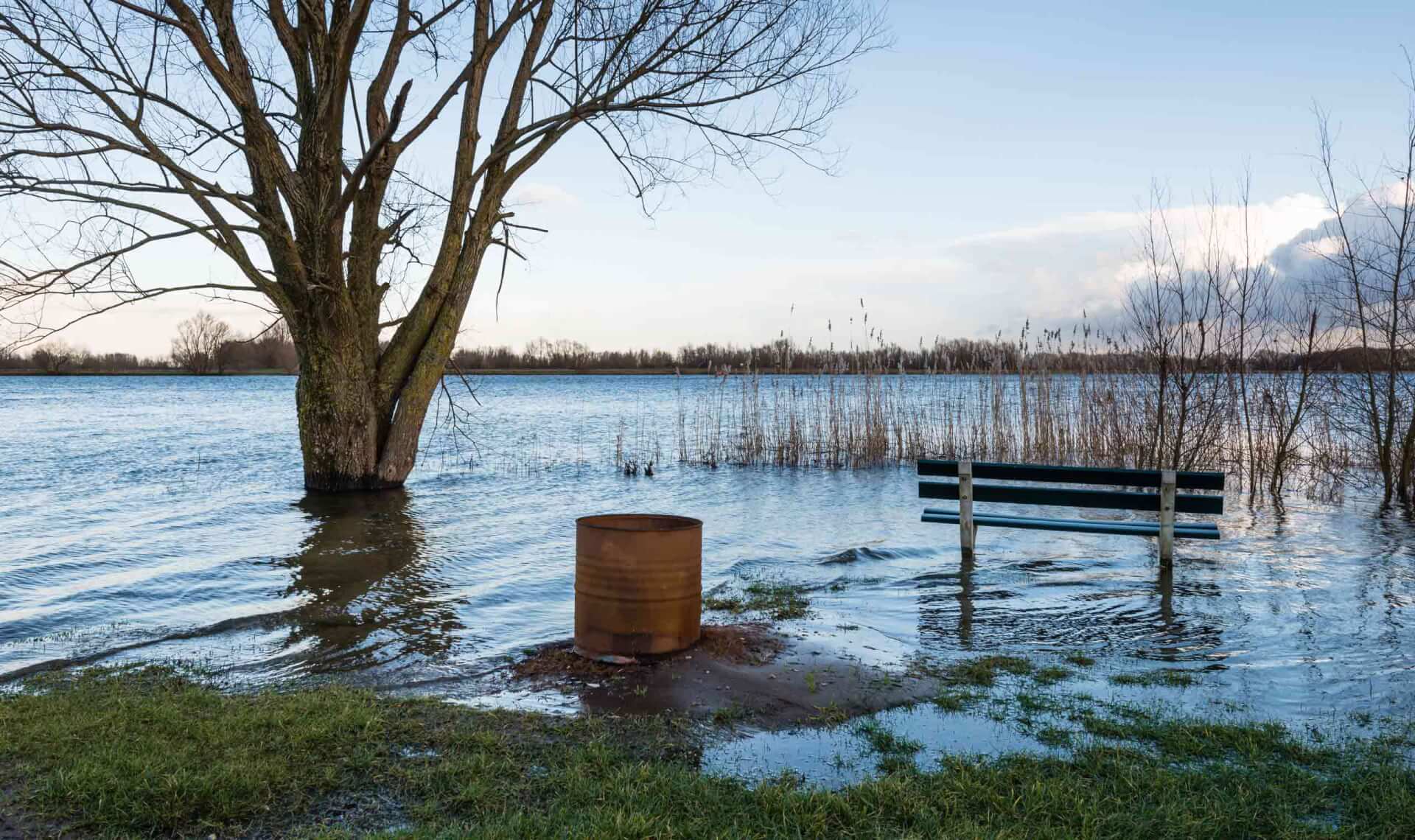 A bench, a bare tree and a rusty oil drum in the water due to the high water level of the river.