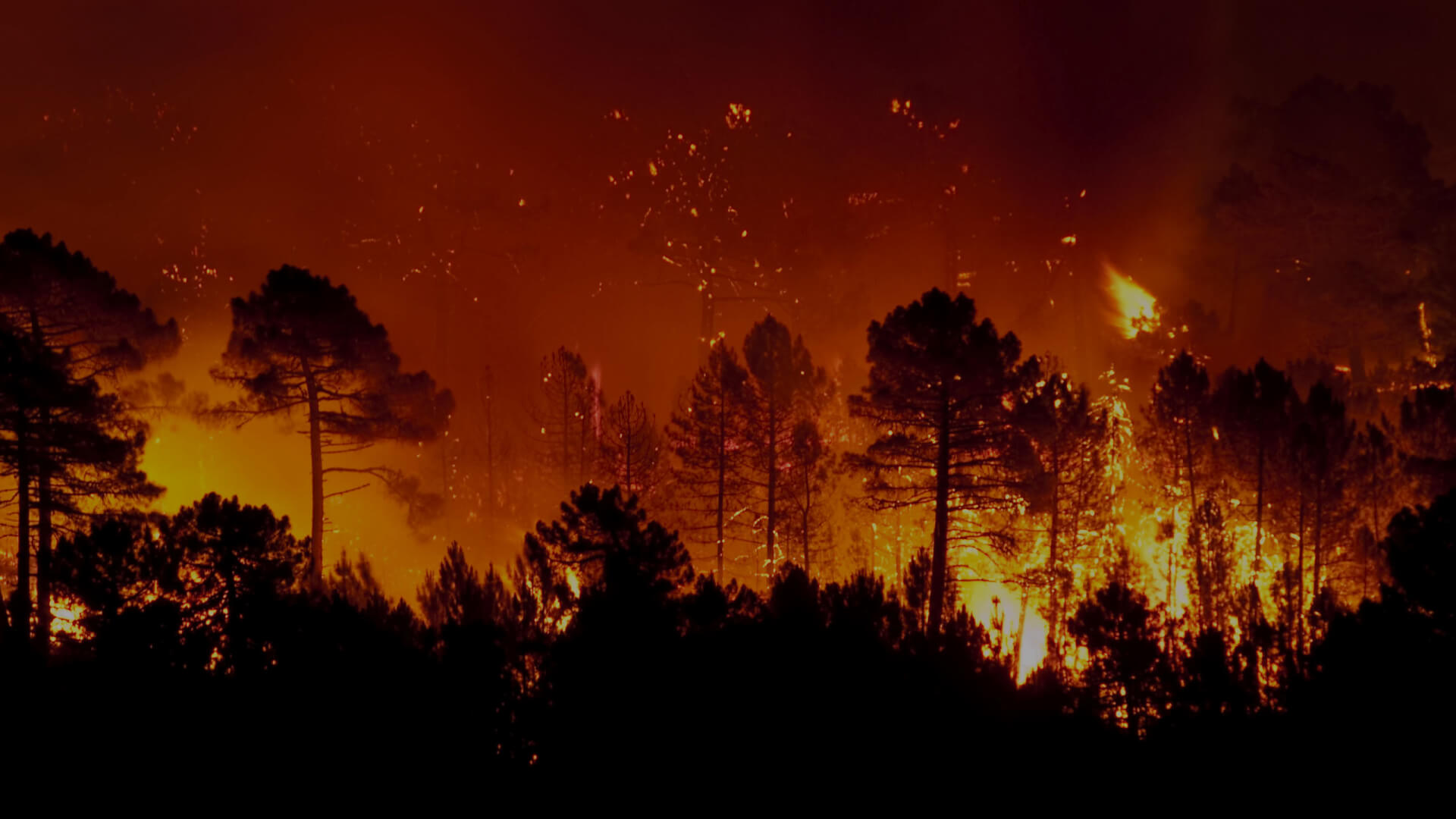 Wildfire-Hazard-HQ-2560-x-1440