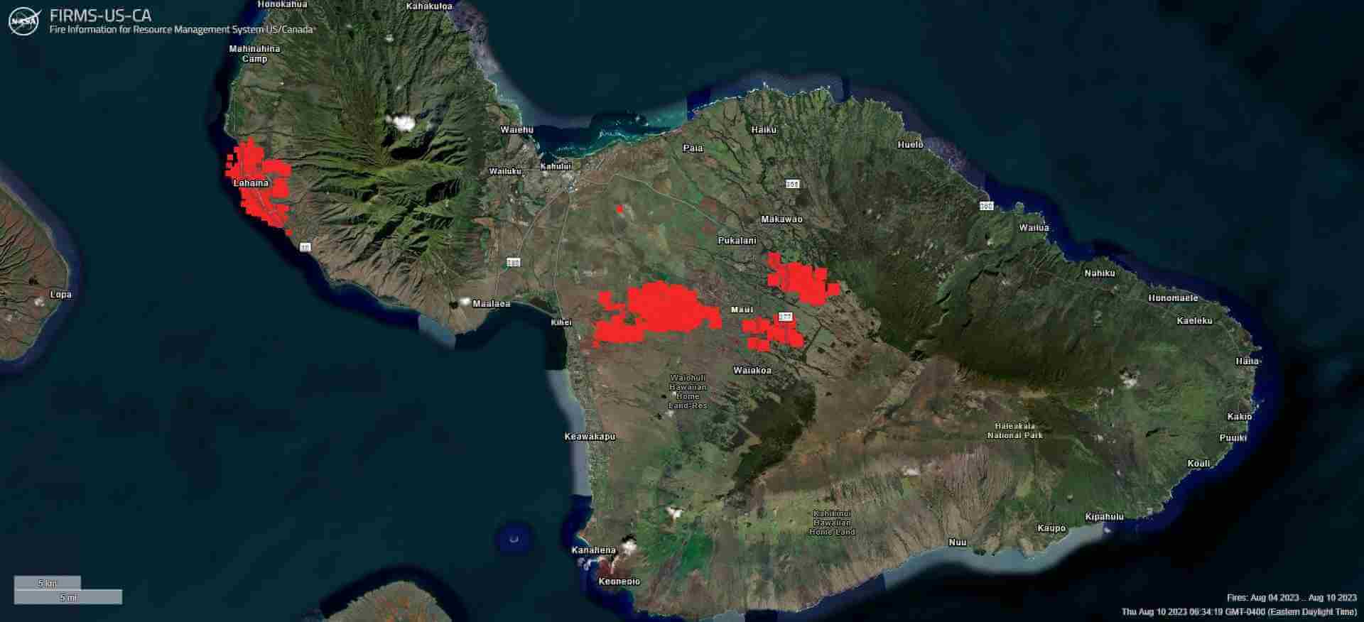 maui wildfires hawaii