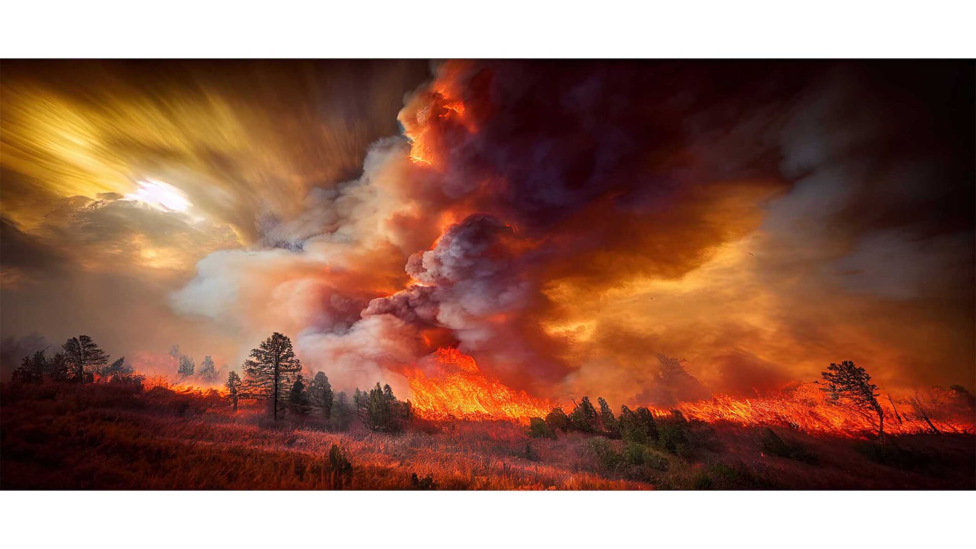 wildfire risk score of field on fire