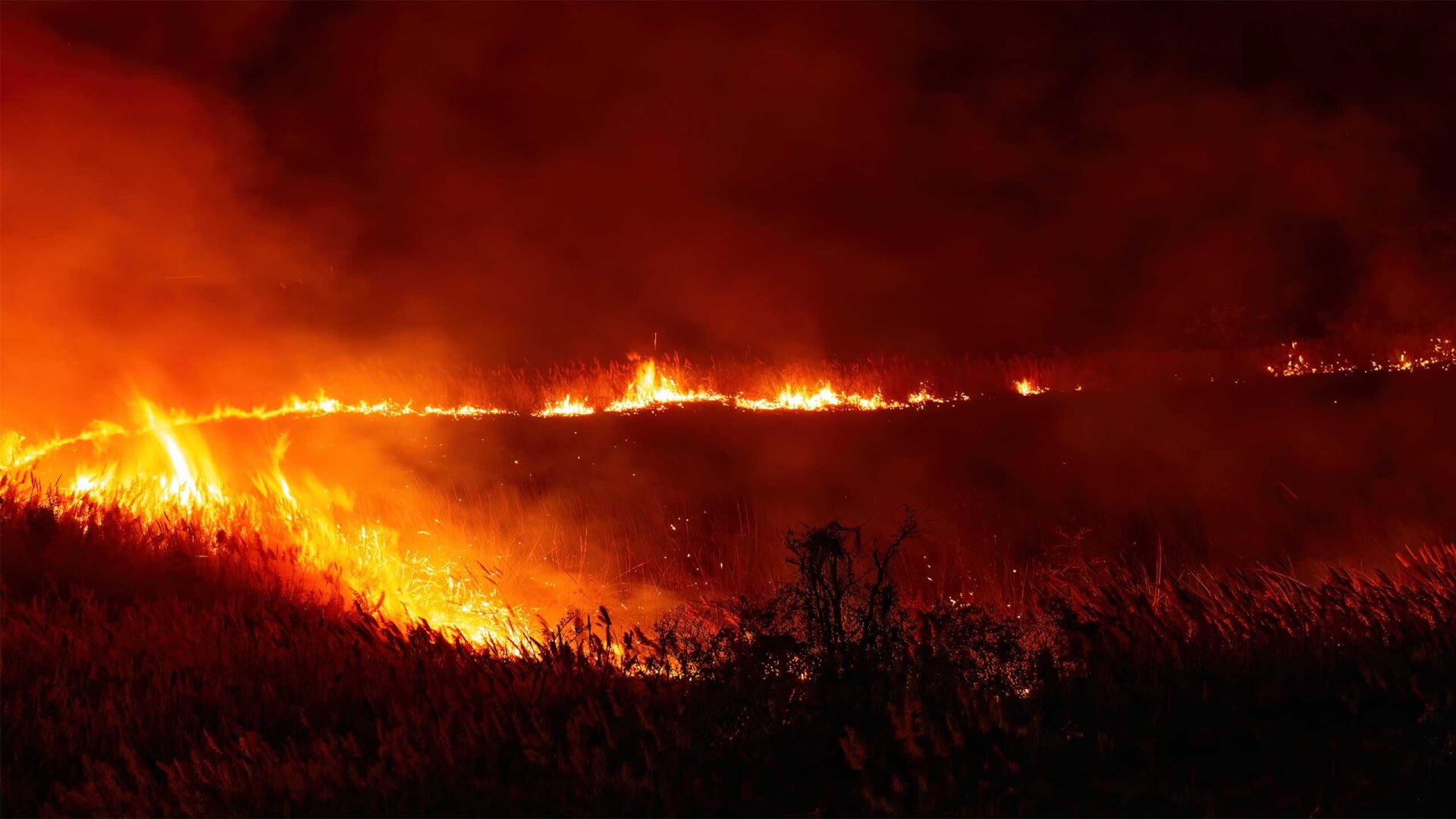 flames flaring: Wildfire hazard Mitigation header image